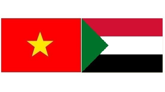 Vietnam-Soudan : la cooperation bilaterale se renforce dans le domaine de l’education hinh anh 1