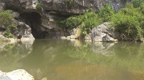 Une grotte encore a l’abri des regards a Quang Ninh hinh anh 1