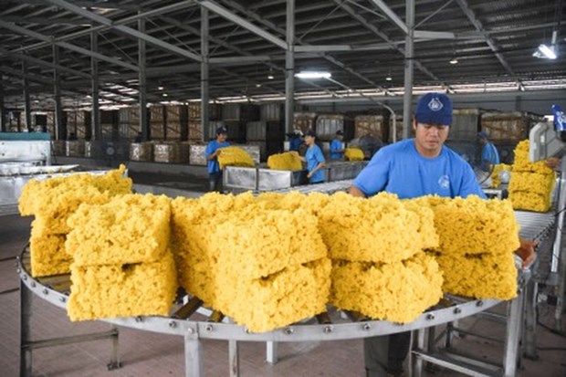 10 mois: exportations d’un million de tonnes de caoutchouc hinh anh 1