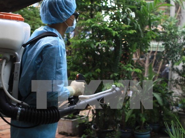 Ho Chi Minh-Ville fait tout pour controler l’evolution de Zika hinh anh 1