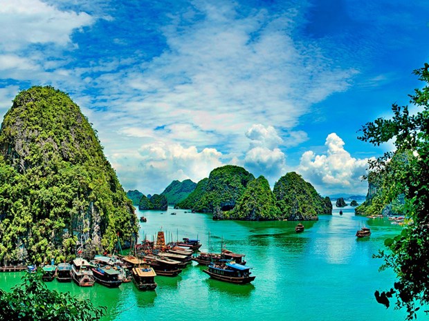 Le Vietnam dans le top 20 des destinations attrayantes pour les jeunes hinh anh 1