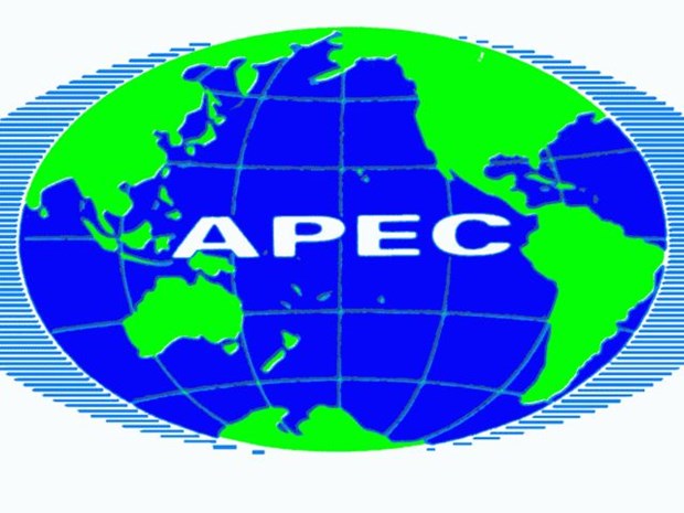 L’APEC 2017 est une occasion en or pour les entreprises vietnamiennes hinh anh 1