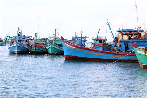 Le delta du Mekong developpe son economie maritime hinh anh 1