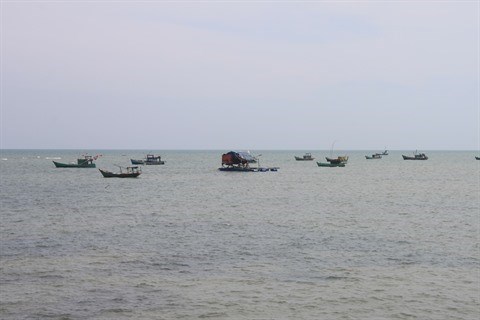 Le delta du Mekong developpe son economie maritime hinh anh 2