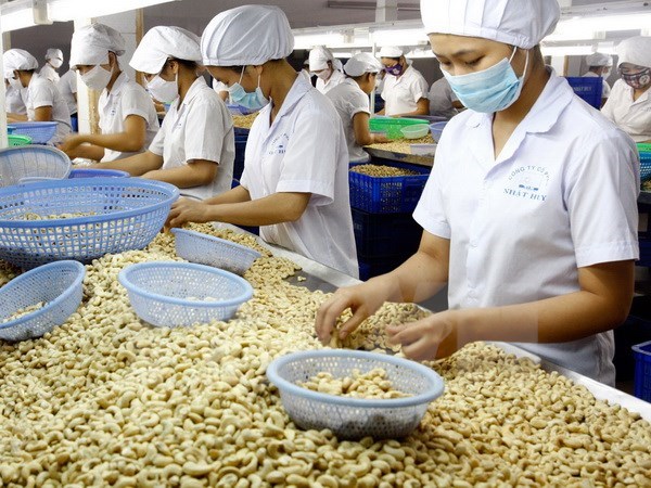 Les exportations de produits agricoles, sylvicoles et aquatiques devraient atteindre 31 milliards hinh anh 1