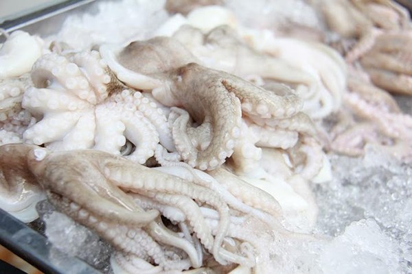 Les cephalopodes du Vietnam prises en Republique de Coree hinh anh 1
