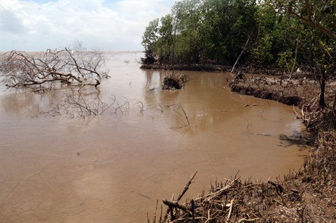 La BM aide un projet d’adaptation aux changements climatiques dans le delta du Mekong hinh anh 1