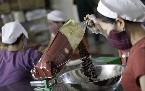 Tata Coffee prevoit de creer une usine de cafe instantane au Vietnam hinh anh 1