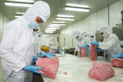 Forte hausse des exportations de thon congele en UE hinh anh 1