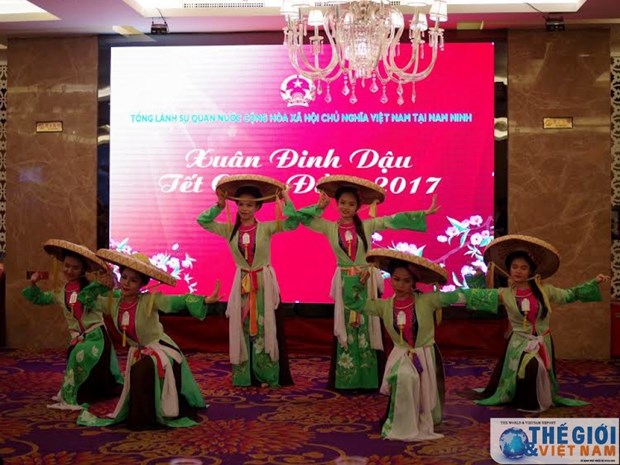 Les Vietnamiens a Nanning saluent le Tet traditionnel du Coq 2017 hinh anh 1