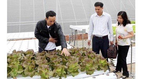 Le Japon aide Lam Dong a devenir un grand centre d’agriculture en Asie du Sud-Est hinh anh 1