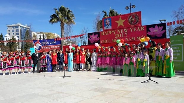 Les Vietnamiens a Chypre fetent le Nouvel an lunaire hinh anh 1