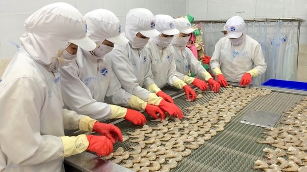 Un bon signe pour les exportateurs vietnamiens de crevettes hinh anh 1