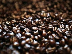 Exportation de 273.000 tonnes de cafe en janvier et fevrier hinh anh 1