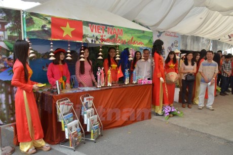 Le Vietnam devoile ses charmes a la Fete de l'ASEAN+3 au Cambodge hinh anh 1