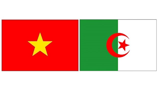 Vietnam - Algerie: Pour une cooperation renforcee hinh anh 1