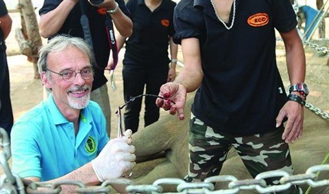 Un Neerlandais au chevet des derniers elephants vietnamiens hinh anh 3