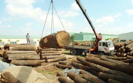 Exportations de bois: 7,5 milliards de dollars vises cette annee hinh anh 1