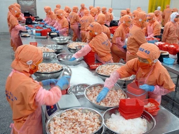 Les produits aquatiques vietnamiens s'efforcent de regagner de la confiance en Europe hinh anh 1