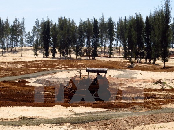 Ninh Thuan restaure les forets protectrices des bassins versants hinh anh 1