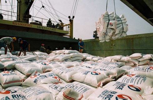 Plus de 2 millions de tonnes de riz exportes en cinq mois hinh anh 1
