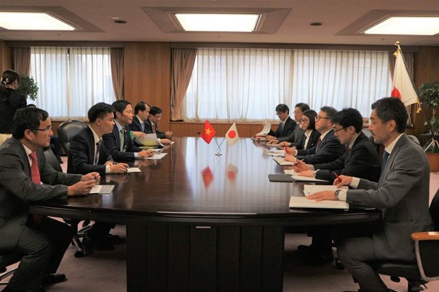 2e session du Comite mixte Vietnam-Japon sur la cooperation dans l'industrie et le commerce hinh anh 1