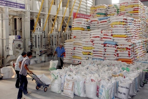 Le Vietnam fait don de 5.000 tonnes de riz a Cuba hinh anh 1