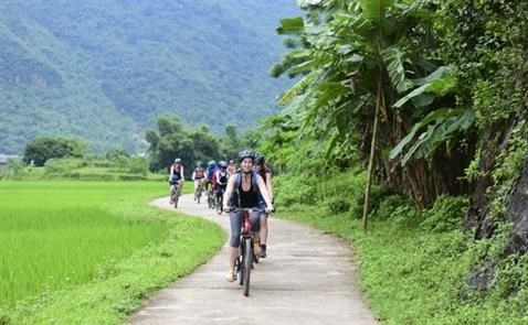 L'Asie du Nord-Est, premier marche touristique du Vietnam ce 1er semestre hinh anh 1
