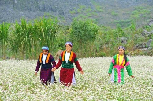 La province de Ha Giang attend l’essor de son tourisme hinh anh 1