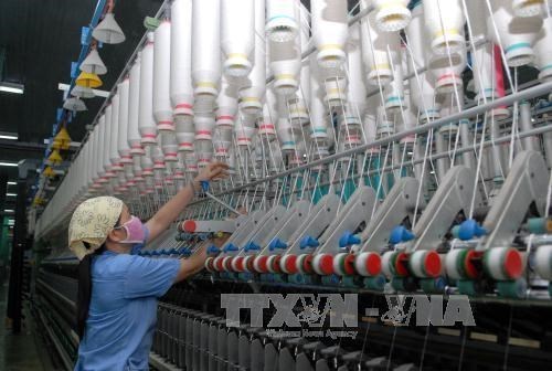 Textile : le Vietnam vise 30,5 milliards de dollars d'exportation en 2017 hinh anh 1