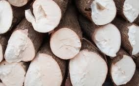 Hausse des exportations nationales de manioc et produits derives hinh anh 1