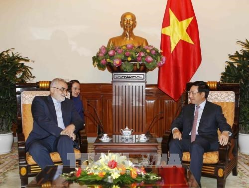 Vietnam et Iran se concentrent sur la cooperation economique hinh anh 1