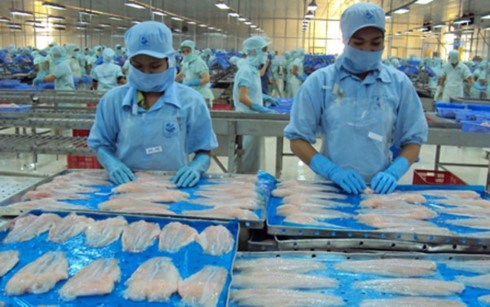 Recul des exportations vietnamiennes de pangasius aux Etats-Unis et en UE hinh anh 1