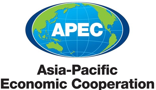 APEC 2017 : un developpement inclusif pour que personne ne reste en retrait hinh anh 1