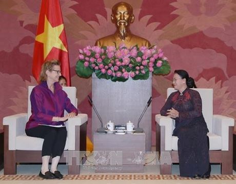 Le Vietnam estime l’assistance du PNUD a son developpement socioeconomique hinh anh 1