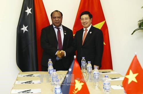 Le Vietnam promeut la cooperation avec la Nouvelle-Zelande et la Papouasie-Nouvelle-Guinee hinh anh 2