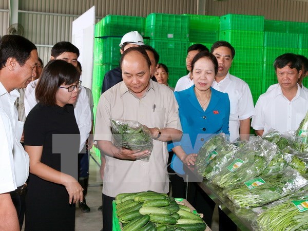 Pour que l’agriculture high-tech du Vietnam 