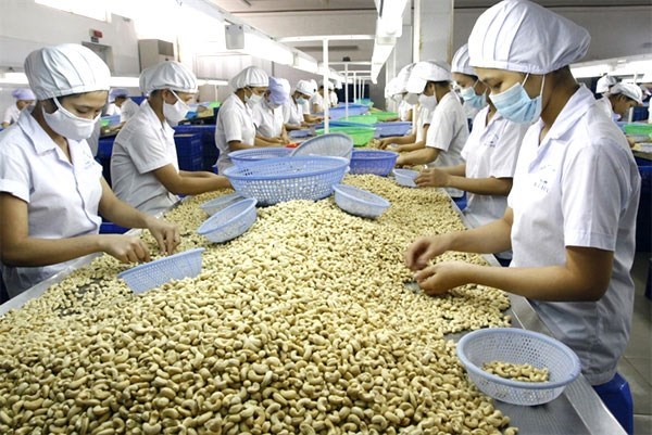 Export : les fruits et legumes et les noix de cajou frachissent le cap des 3 milliards de dollars hinh anh 1
