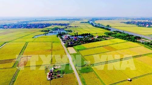 Cooperation agricole entre la Belgique et le Vietnam hinh anh 1