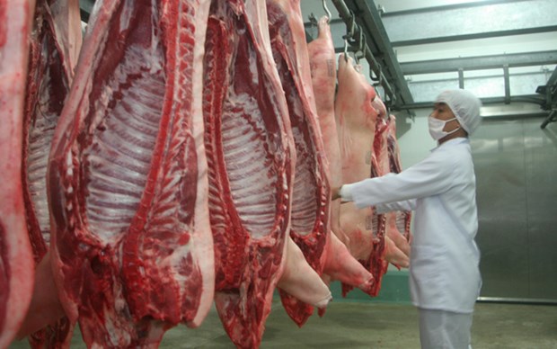 Importation de pres de 6.600 tonnes de viande porcine en 2017 hinh anh 1