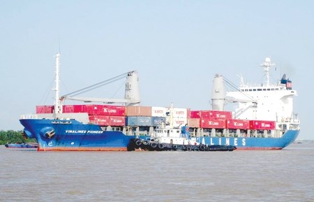 Les navires maritimes assurent 100% du transport par container hinh anh 1
