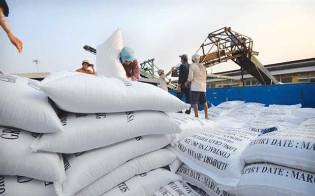 Forte hausse des exportations de riz en janvier hinh anh 1
