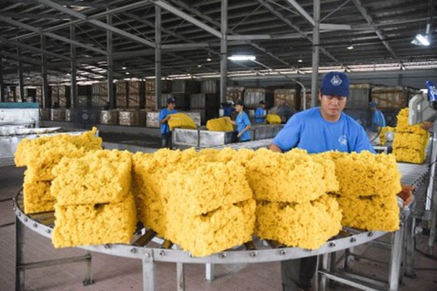 Le Vietnam, troisieme exportateur mondial de caoutchouc hinh anh 1