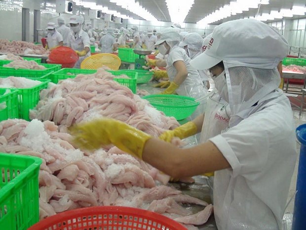 Maruha Nichiro renforce ses importations de pangasius du Vietnam hinh anh 1