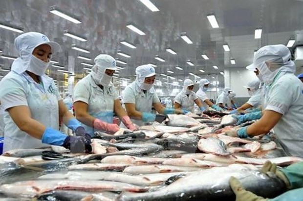 La filiere poisson tra vise 2 milliards de dollars d'exportations en 2018 hinh anh 1