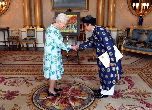 La reine Elizabeth II est satisfaite du developpement des relations avec le Vietnam hinh anh 1