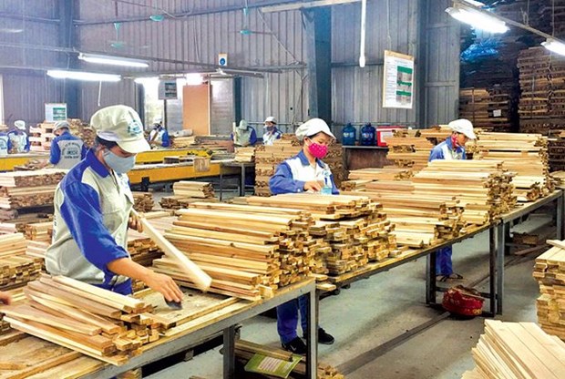 La filiere bois du Vietnam face a de nouvelles opportunites de developpement hinh anh 1