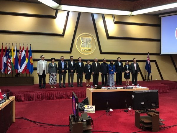 6e reunion du Comite de cooperation commune ASEAN-Nouvelle-Zelande hinh anh 1