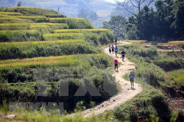 Lao Cai : Plus de 3.100 coureurs au marathon des montagnes du Vietnam 2018 hinh anh 1