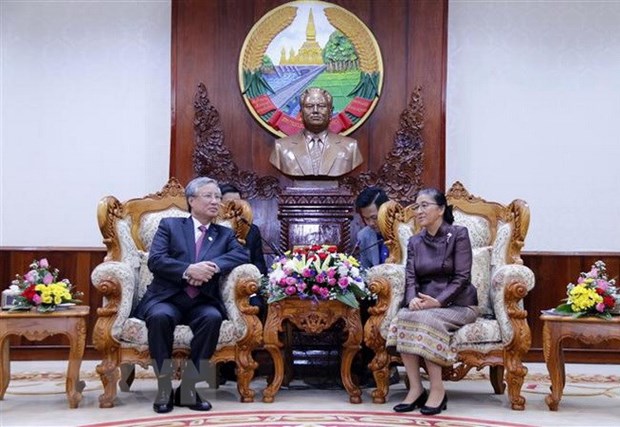 Promotion des relations speciales Vietnam - Laos hinh anh 1
